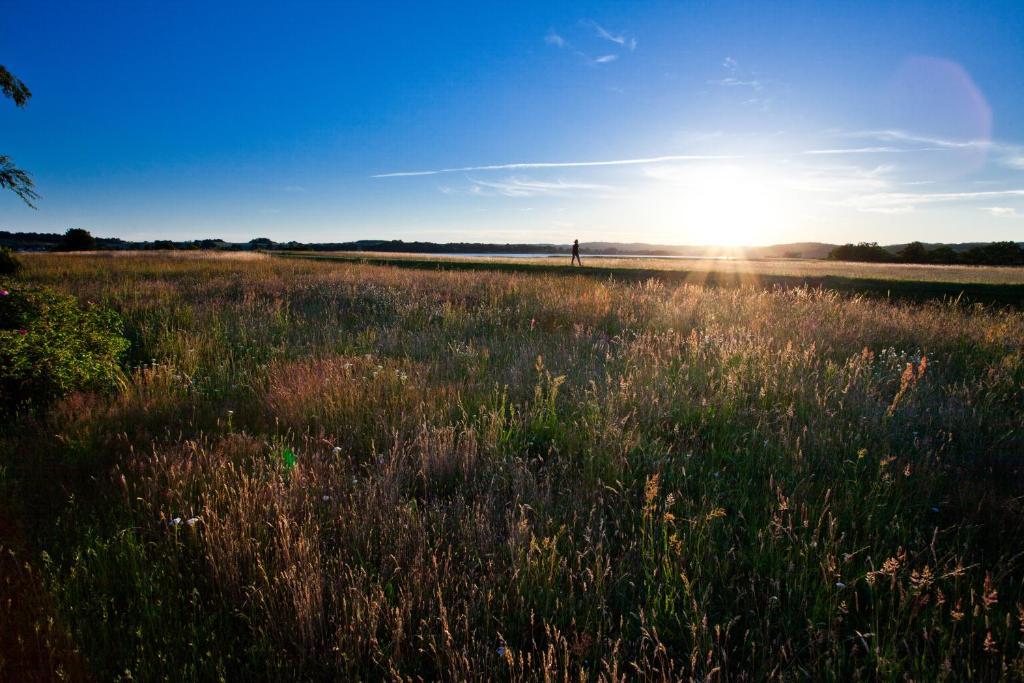 Hotel Am See Баабе Екстериор снимка